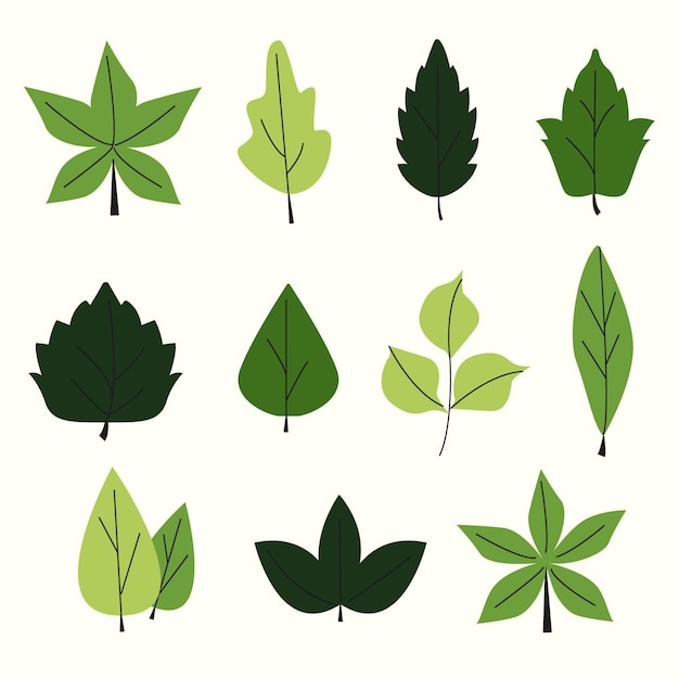 Conjunto de hojas verdes de diseño plano