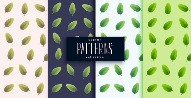 conjunto de hojas verdes en el fondo del patrón de derramamiento