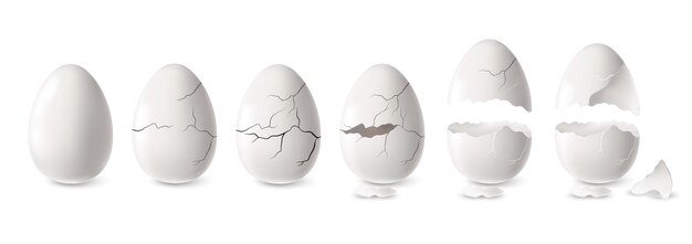 Conjunto de huevo abierto y agrietado blanco realista ilustración vectorial aislada