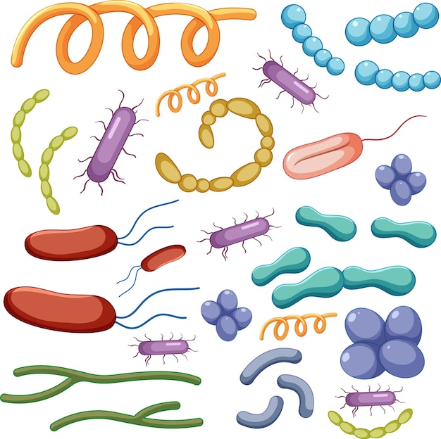 Vector gratuito conjunto de iconos de bacterias y virus