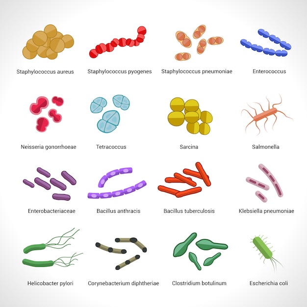 Vector gratuito conjunto de iconos de bacterias