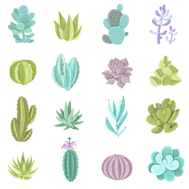 Conjunto de iconos de cactus
