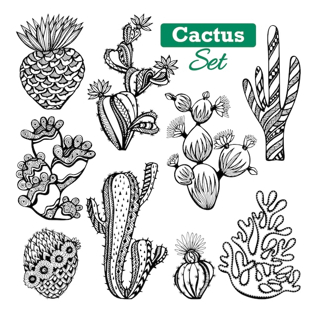 Vector gratuito conjunto de iconos de cactus