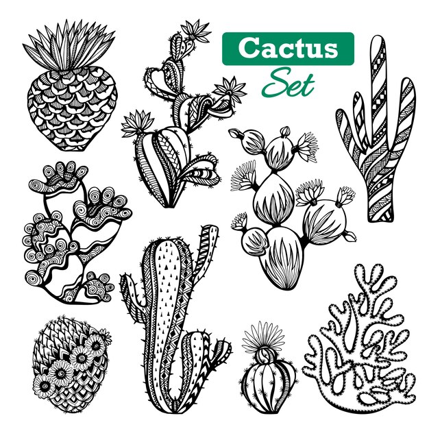 Conjunto de iconos de cactus