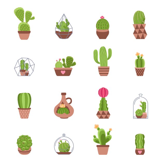 Conjunto de iconos de cactus