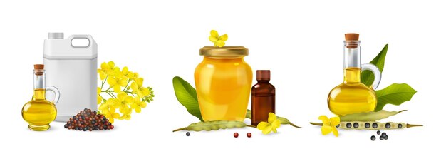 Conjunto de iconos de canola de violación aislado realista tarros latas flores y semillas ilustración vectorial cercana