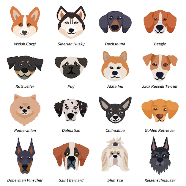 Vector gratuito conjunto de iconos de caras de perros de raza pura