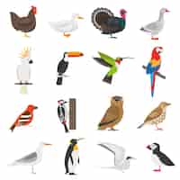 Vector gratuito conjunto de iconos de colores planos de aves