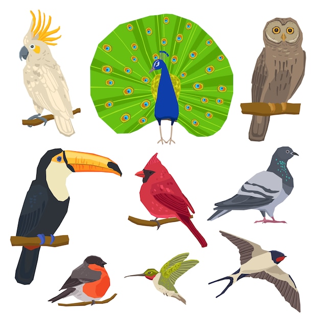 Vector gratuito conjunto de iconos dibujados de aves