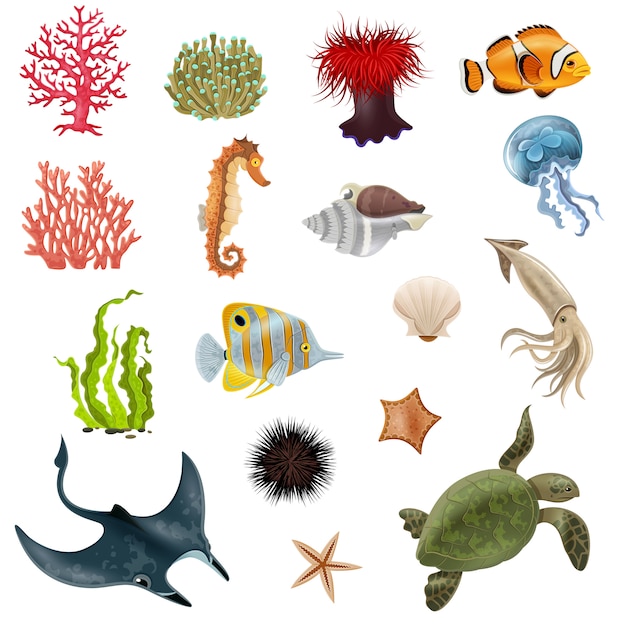 Conjunto de iconos de dibujos animados de vida marina
