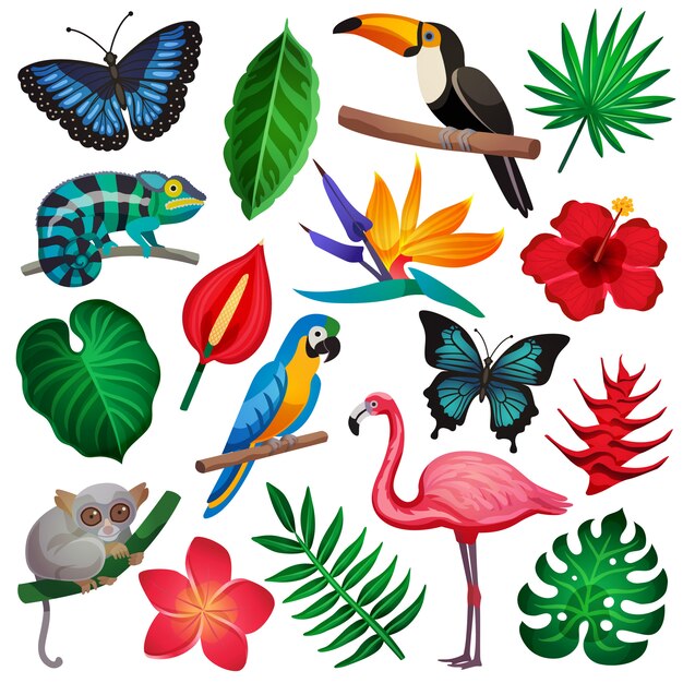Conjunto de iconos exóticos tropicales