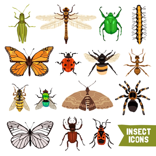 Vector gratuito conjunto de iconos de insectos