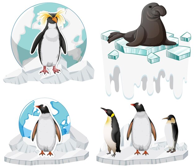 Conjunto de iconos lindo pingüino