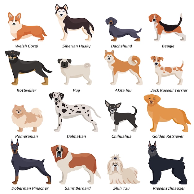 Conjunto de iconos de perros de raza pura color