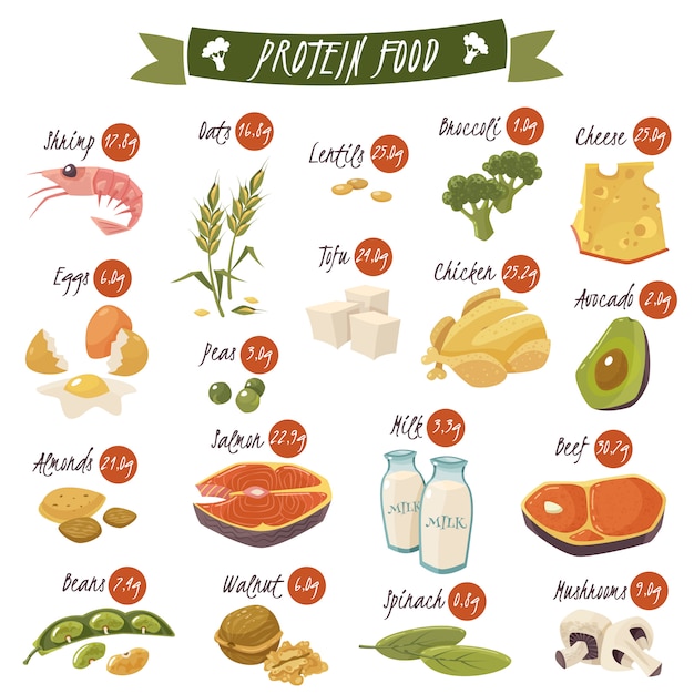 Vector gratuito conjunto de iconos planos de alimentos ricos en proteínas