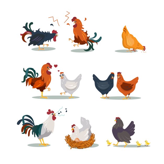 Conjunto de iconos planos de varias gallinas y gallos