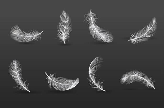 Conjunto de iconos de plumas realistas en diferentes posiciones y desde diferentes lados ilustración vectorial