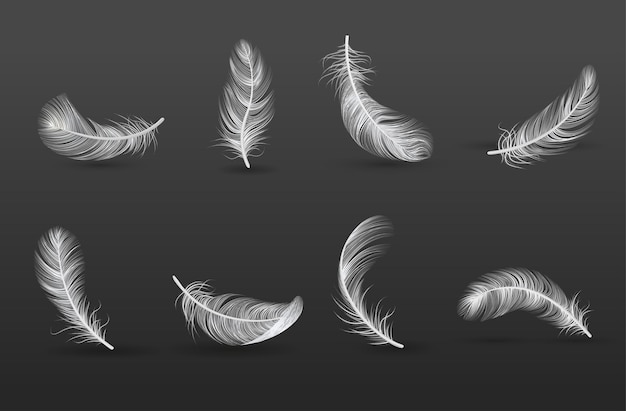 Conjunto de iconos de plumas realistas en diferentes posiciones y desde diferentes lados ilustración vectorial