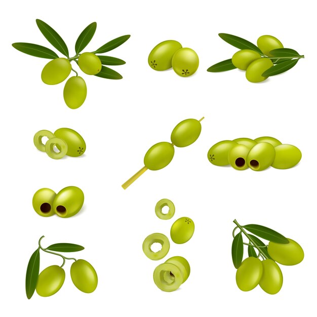 Conjunto con iconos realistas de aceitunas verdes con imágenes aisladas de rodajas de hojas de aceitunas maduras e ilustración vectorial de palo