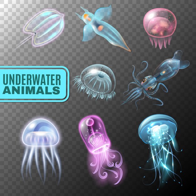 Conjunto de iconos transparente bajo el agua