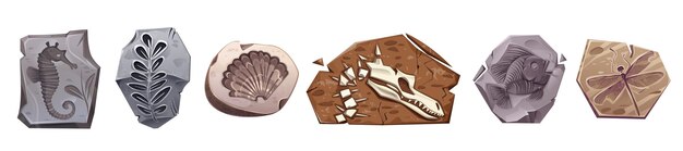 Conjunto de iconos de vector de piedra de arqueología de dinosaurio fósil Animal marino y textura de sello de planta antigua dibujo colección de ilustración de dibujos animados aislados Cavar insecto y concha impresión silueta clipart