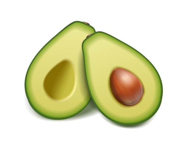 conjunto de iconos de vector realista Aguacate verde violado y mitad en rodajas