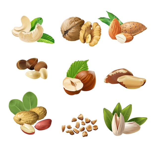 Conjunto de iconos vectoriales de frutos secos