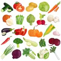 Vector gratuito conjunto de iconos de verduras