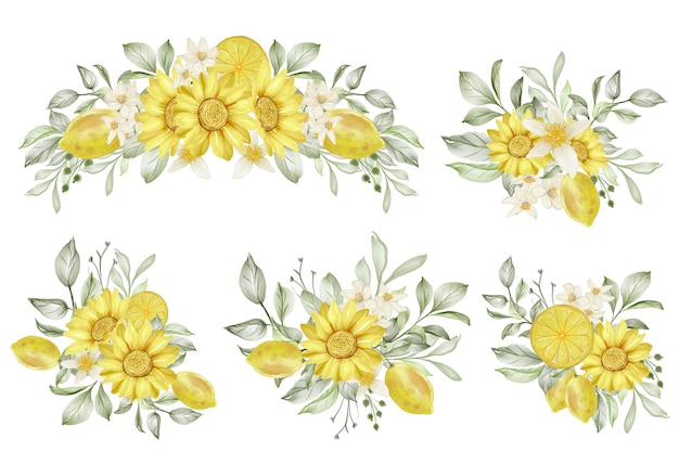 Conjunto de ilustración acuarela de arreglo floral de limón de primavera