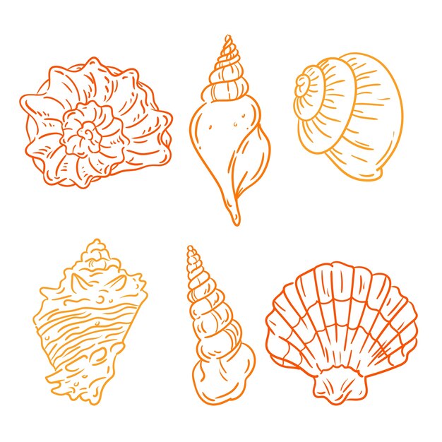 Conjunto de ilustración de concha marina de contorno