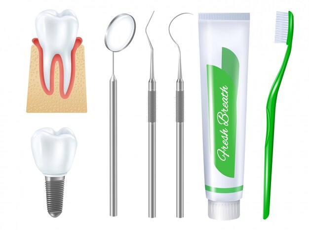 Conjunto de ilustración dental realista