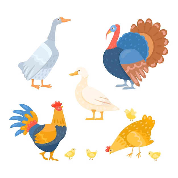 Conjunto de ilustración de dibujos animados de diferentes aves de granja. gansos, gallo de pavo, pato, gallo, gallina con pollitos aislados en fondo blanco. animal doméstico, concepto de aves de corral