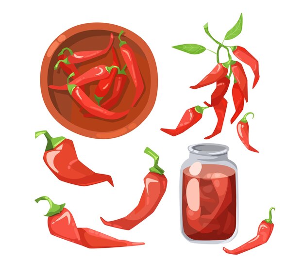 Conjunto de ilustración de dibujos animados de pimientos picantes rojos. Pimientos en escabeche en tarro de cristal y cuenco. Verduras con hojas verdes aisladas sobre fondo blanco. Concepto de comida mexicana picante
