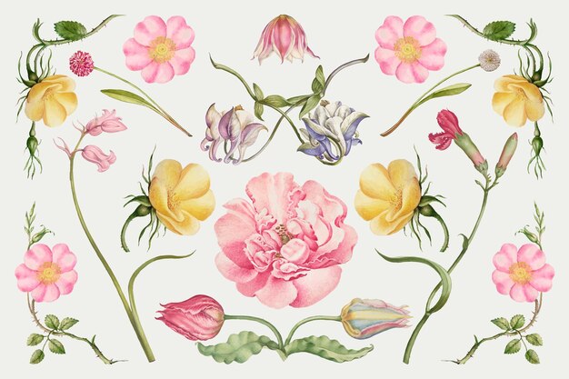 Conjunto de ilustración de flor floreciente vintage