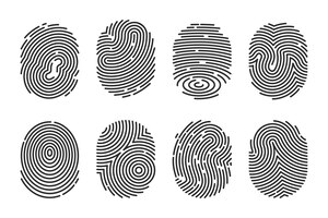 Vector gratuito conjunto de ilustración plana de huellas dactilares detalladas negras. escáner electrónico de la policía de la huella digital para la recopilación de vectores aislados de datos delictivos. concepto de identidad y tecnología de dedo
