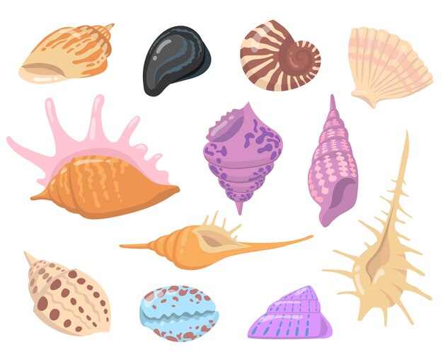 Conjunto de ilustración plana de objetos de concha de mar o océano. Colección de ilustraciones vectoriales aisladas de conchas de colores de dibujos animados. Concepto de naturaleza y decoración del agua.