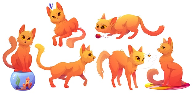 Conjunto de ilustración de pose de personaje de gato de dibujos animados de vector