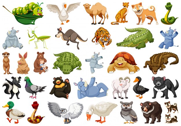 Conjunto de ilustraciones de animales salvajes.