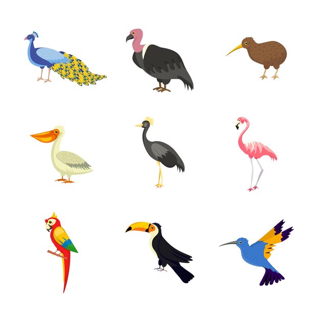 Conjunto de ilustraciones de aves exóticas animales aviares salvajes africanos asiáticos