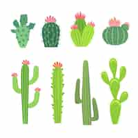 Vector gratuito conjunto de ilustraciones de cactus grandes y pequeños. colección de cactus, plantas tropicales espinosas con flores o capullos, suculentas de arizona o méxico aisladas en blanco