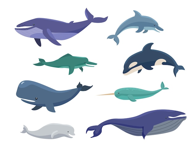 Conjunto de ilustraciones de dibujos animados de ballenas, cabezas arqueadas, narvales, orcas