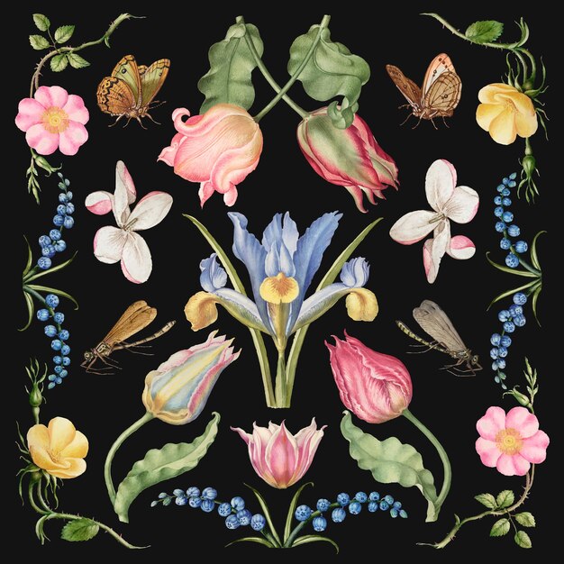 Conjunto de ilustraciones florales vectoriales de flores dibujadas a mano, remezcla de The Model Book of Calligraphy Joris Hoefnagel y Georg Bocskay