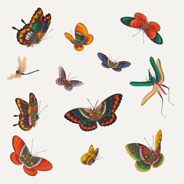 Conjunto de ilustraciones de insectos y mariposas vintage