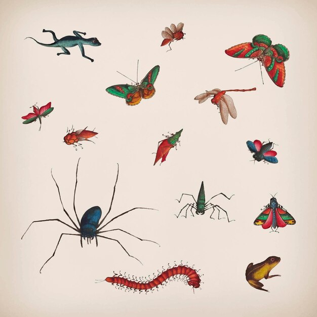 Conjunto de ilustraciones de insectos y mariposas vintage
