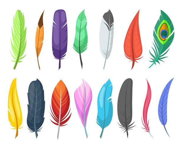 Conjunto de ilustraciones planas de plumas de aves brillantes