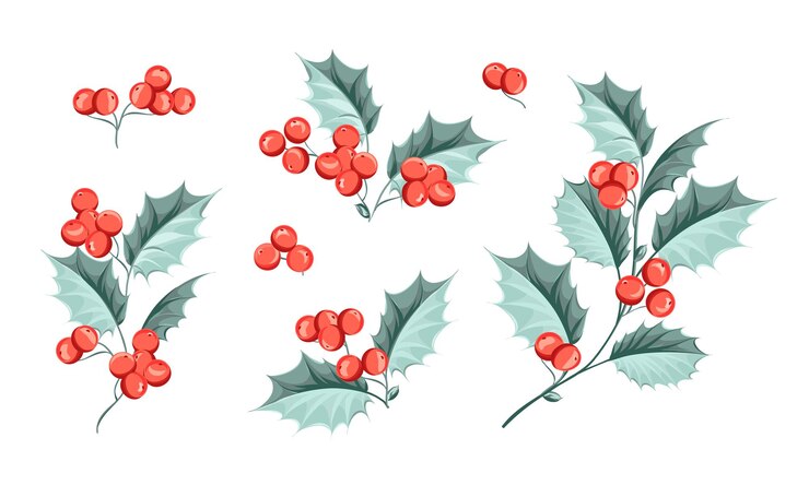 Conjunto de ilustraciones de ramas de Navidad.
