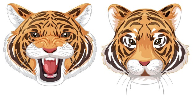 Conjunto de ilustraciones vectoriales de expresiones de tigre