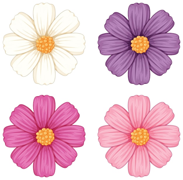 Conjunto de ilustraciones vectoriales florales de colores