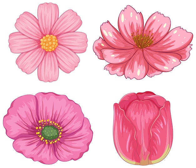 Conjunto de ilustraciones vectoriales florales rosadas elegantes
