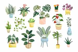 Vector gratuito conjunto de ilustraciones vectoriales planas de diferentes plantas de interior en maceta. flores o plantas de interior en macetas o jarrones, alocasia, begonia en macetas aisladas sobre fondo blanco. interior, concepto de jungla urbana